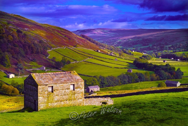 Swaledale Yorkshire Dales England - Land