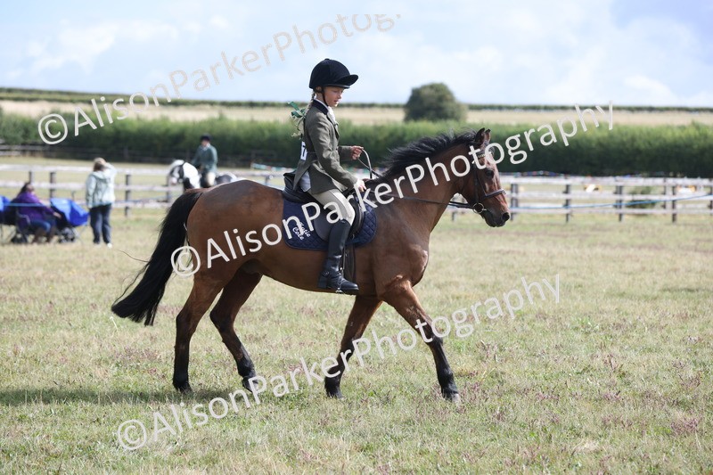 20250831-1135 - Class 15 - Ridden Veteran