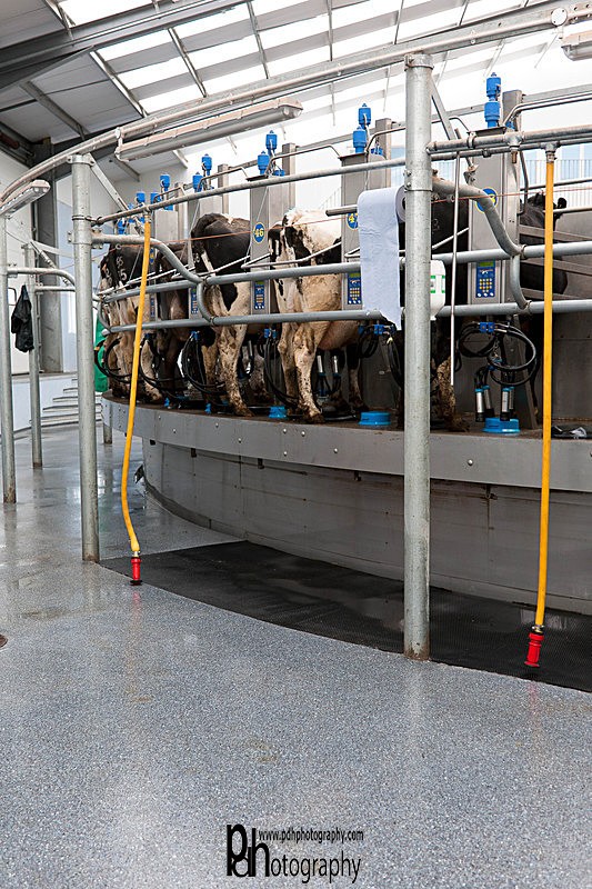 Milking Parlour - 19 - Products