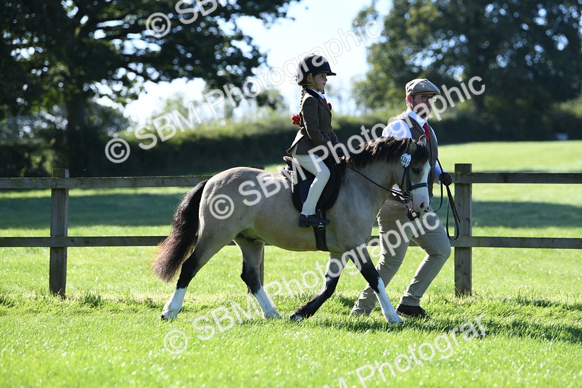 SBM_36758 - S18 - Novice & Newcomers Lead Rein Pony