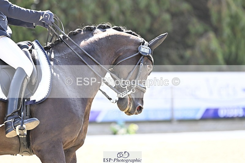 250810A-112235-05384 - 106-Lynn.WickesFurstino