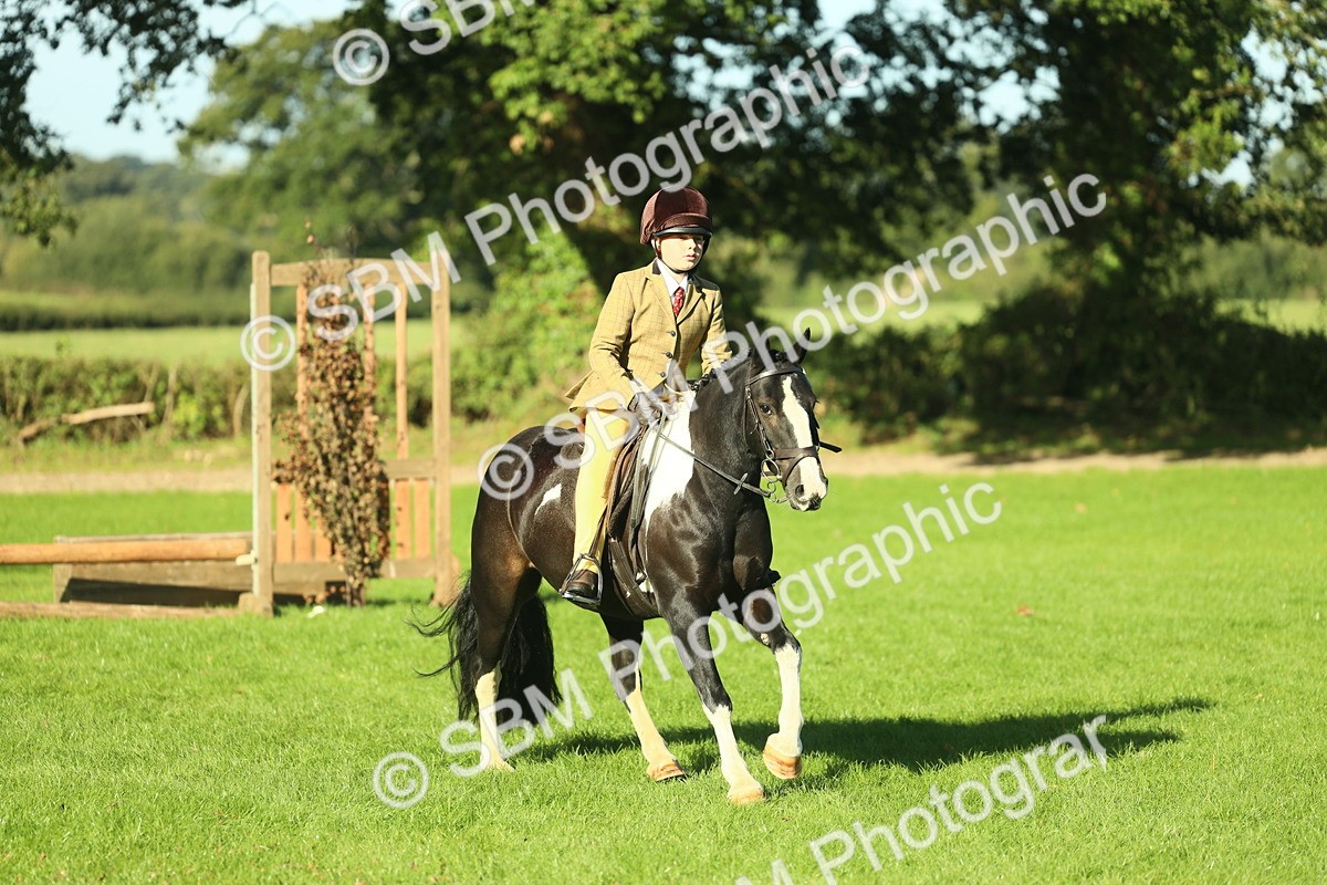 SBM_36405 - S29 - Novice & Newcomers Working Hunter Pony