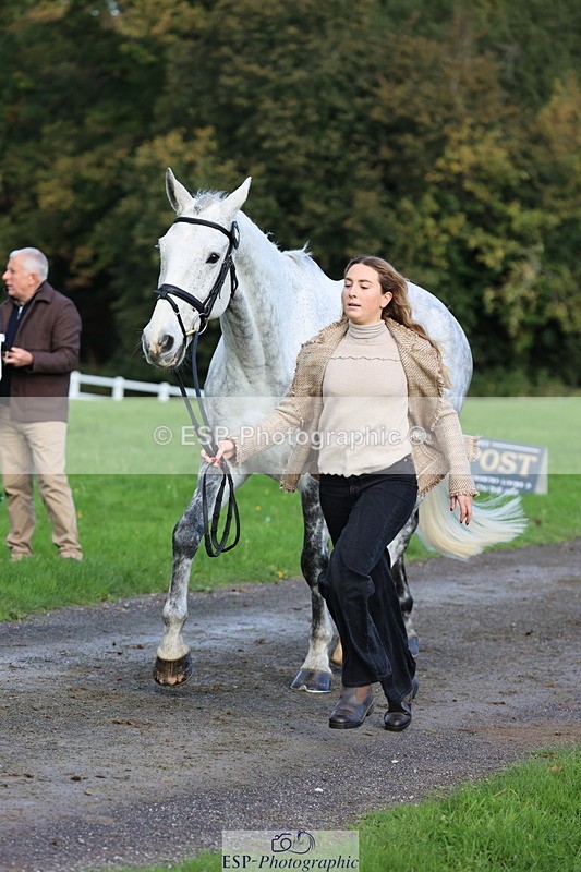 251026A-101912-22881 - D-329-Clementine.Montgomerie