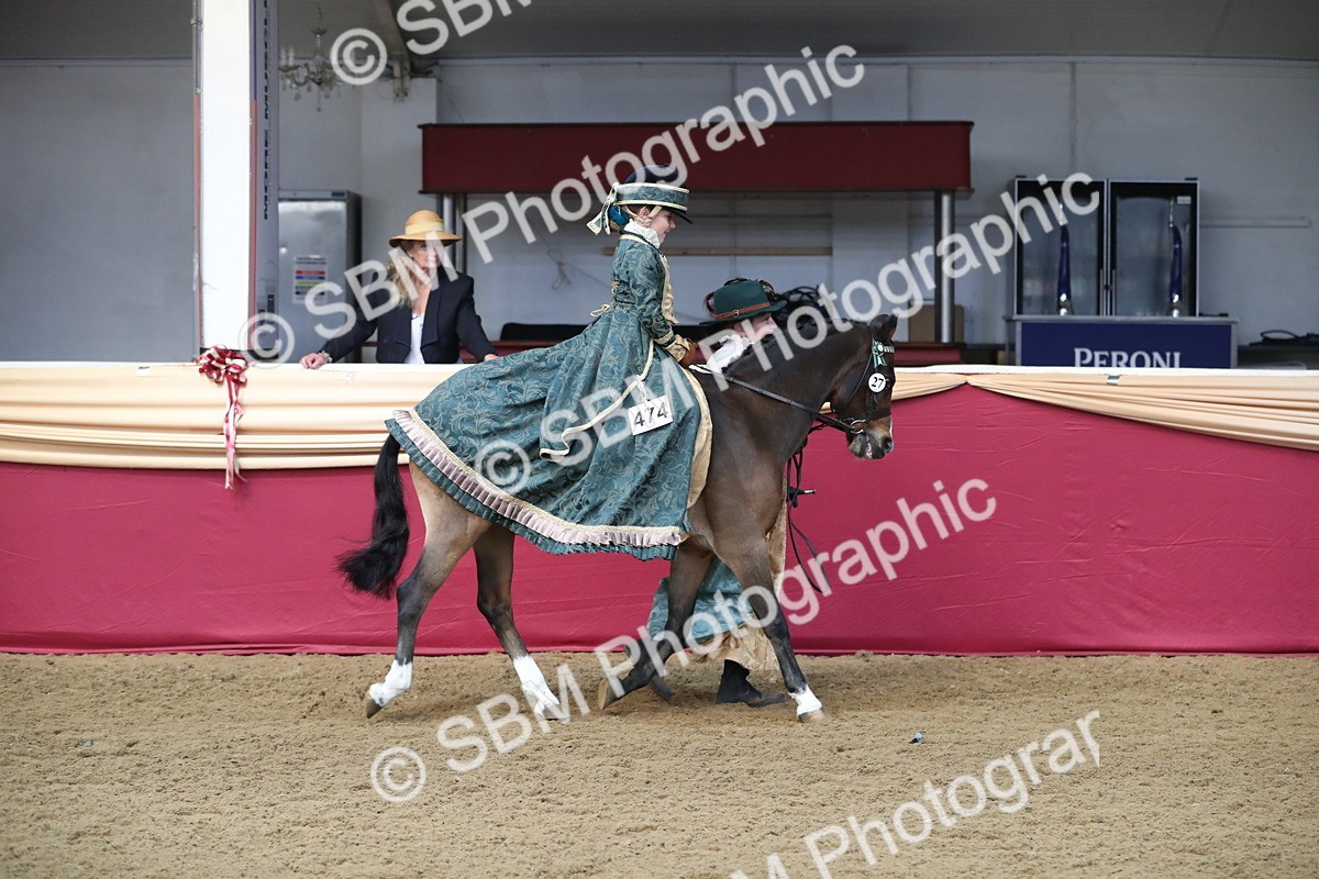SBM_11228 - Class 104 Ridden Costume - Astride Junior