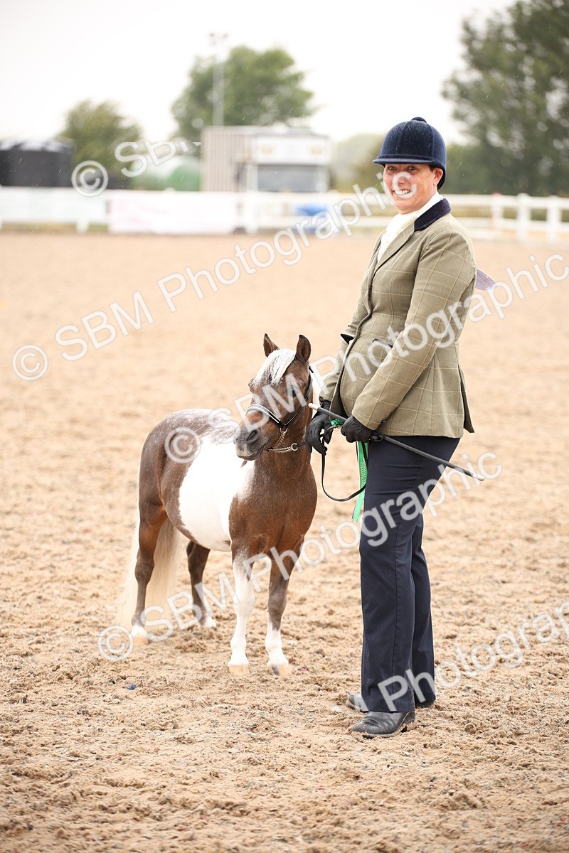 SBM_20228 - Class 703 - IH  Coloured