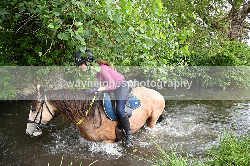 WJ7_2040 - Camera 2 Water Crossing