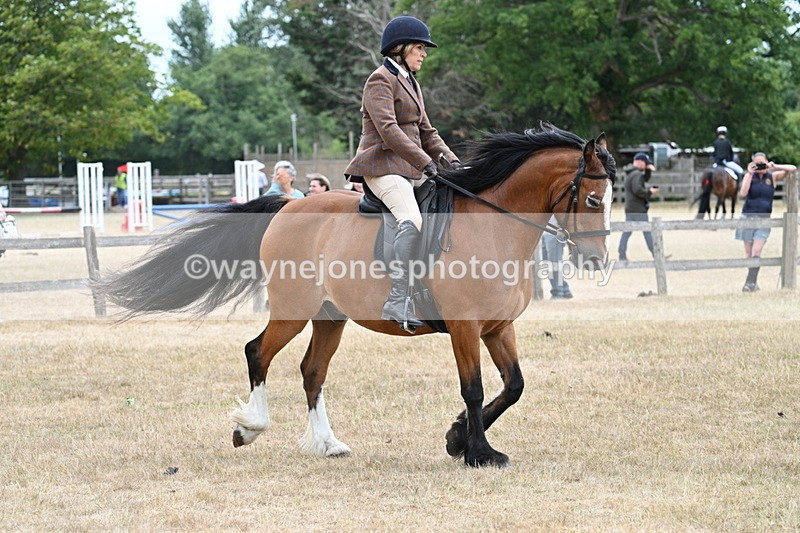 WJ7_0570 - Class 6 Ridden Mountain and Moorland