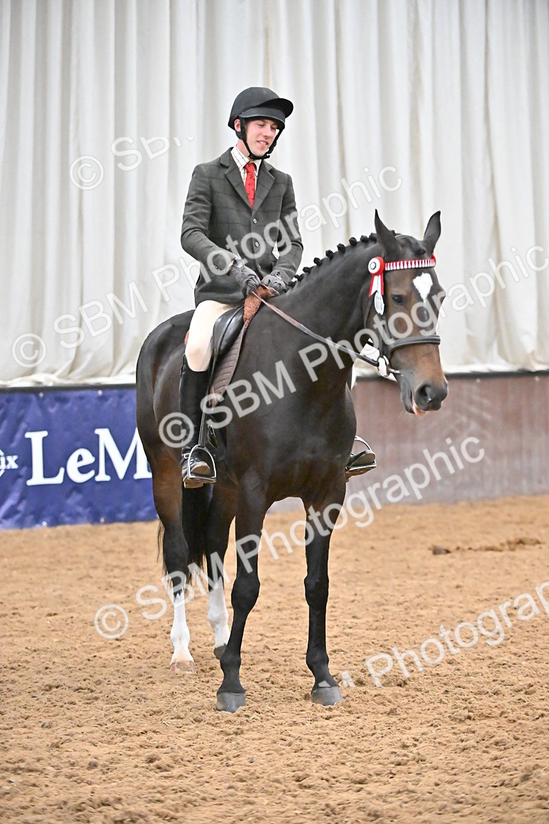 SBM_002358 - Class 22 - BSHA Ridden Hack & Riding Horse