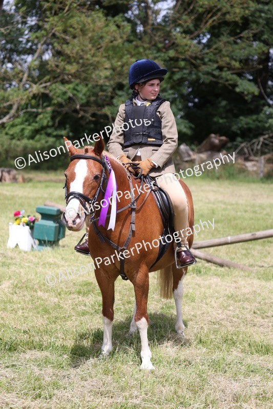 20260614-2158 - Class 21 - Novice Working Hunter Pony