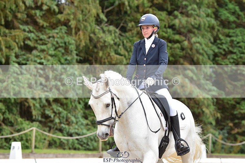 250719A-153428-06887 - 024-Neve.Moran-Clareville.Golden.Knight