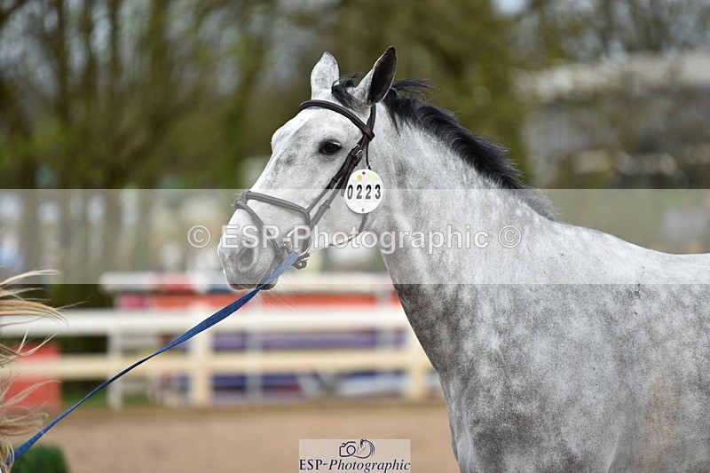 240417A-143310-00559 - 2pm to 3pm