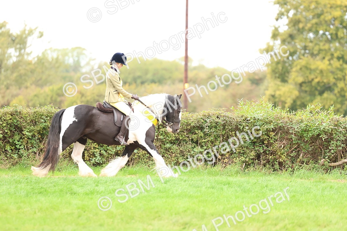 SBM_64679 - S58 - Coloured Pony Ridden
