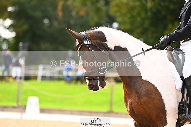 231020-135600-09760 - 301-WESTCEFFYL.KINGSWAY.LAD-Ben.Lee.Liles-DR