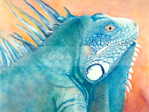 Lizard; An Iguana - Greeting Cards and Journals