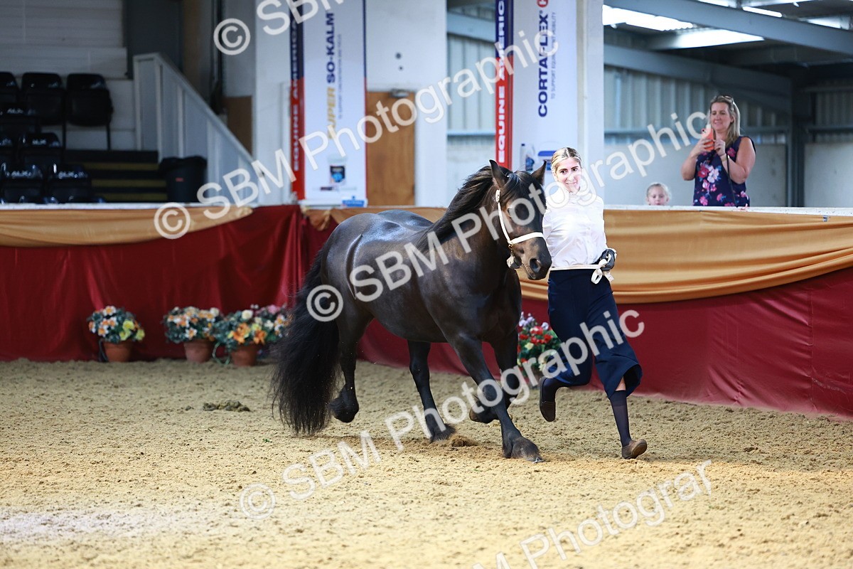 SBM_23142 - Class 903 - Supreme Final - IH Pre Vet