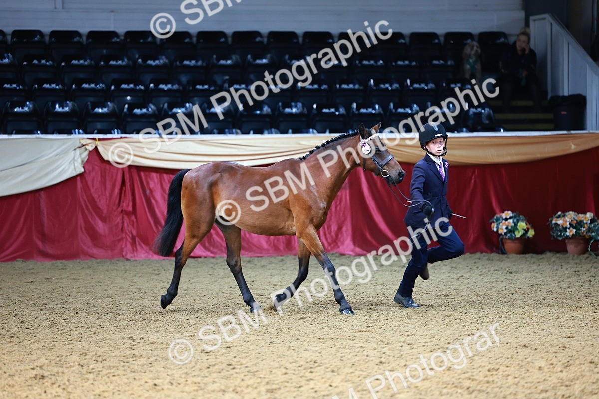 SBM_22179 - Class 902 - Supreme Final - IH Diamond