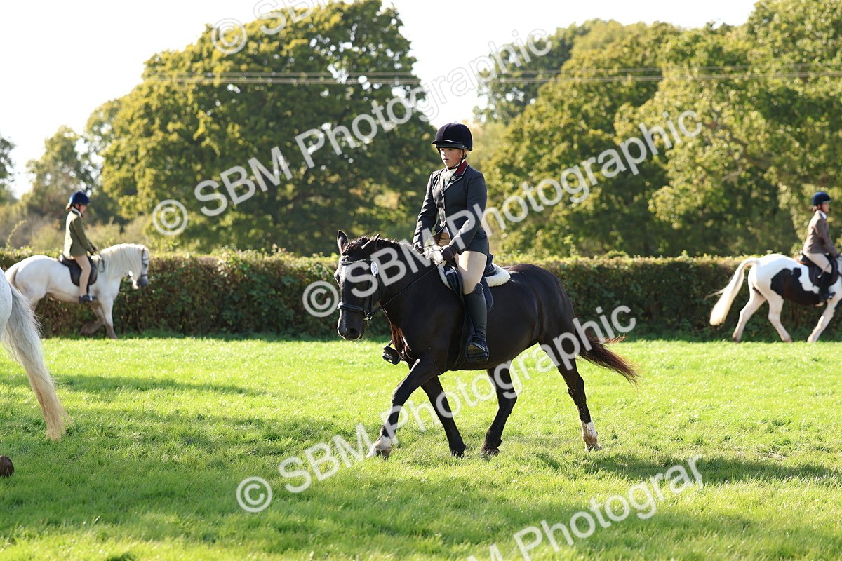 SBM_52430 - S13 - Pony Club Pony