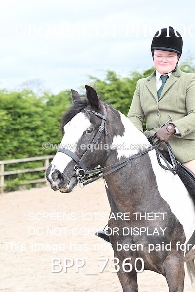 BPP_7360 - RING 1  (RIDDEN HORSES / IN HAND / VETERAN ETC)