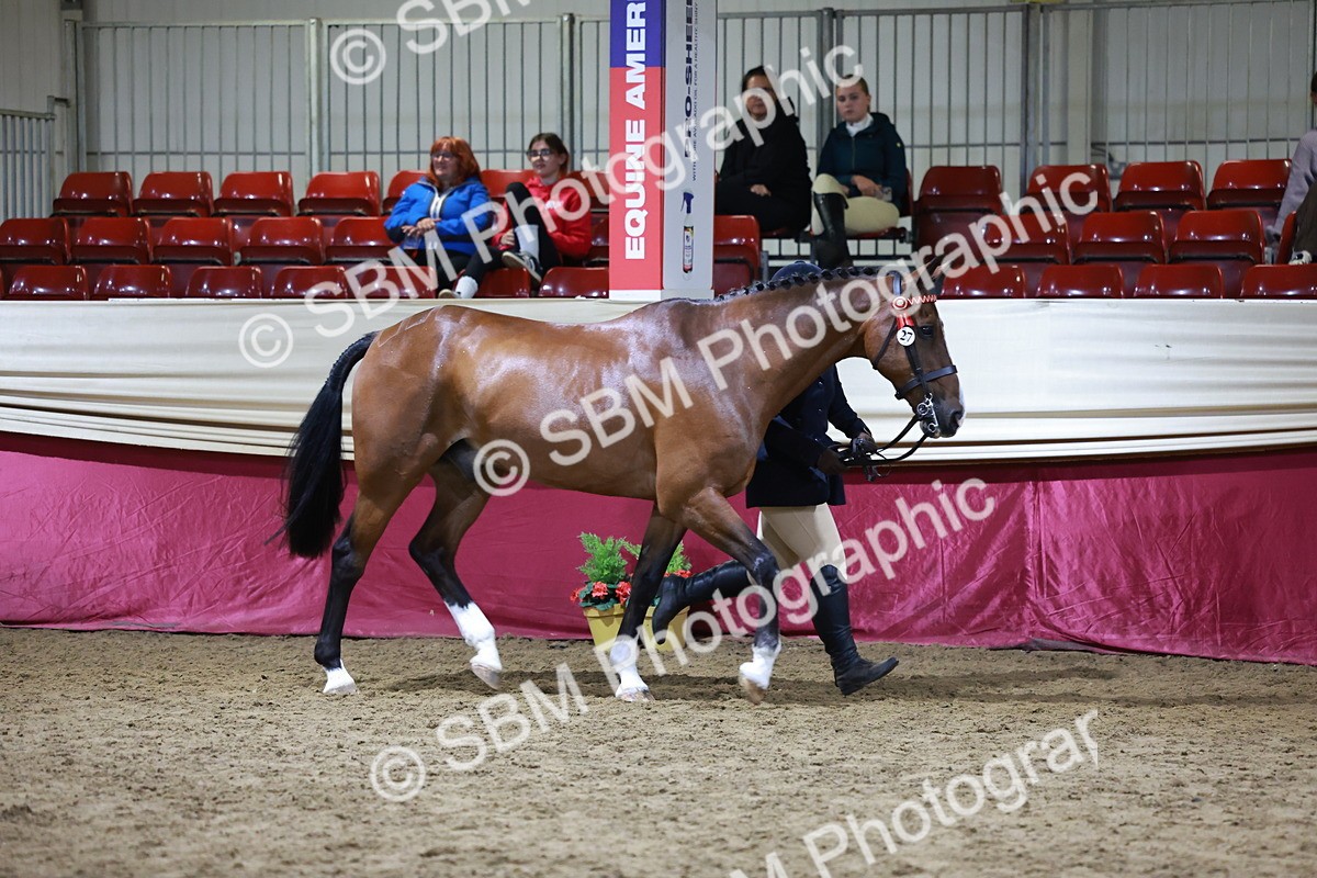 SBM_21510 - Class V - Champion of Champions