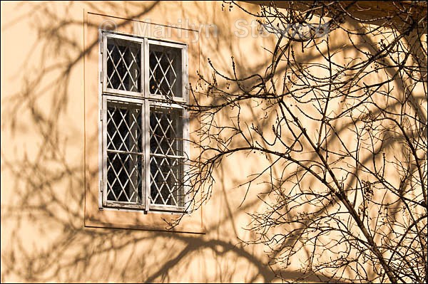 Branches and window, Prague - Prague to Berlin along the Elbe river