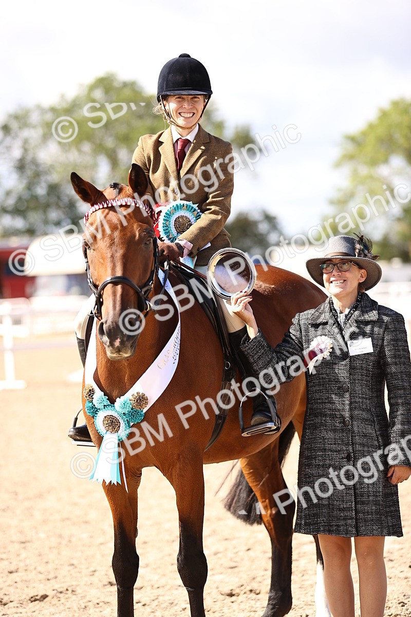 SBM_12994 - Class 410 - Grassroots Ridden - Horse