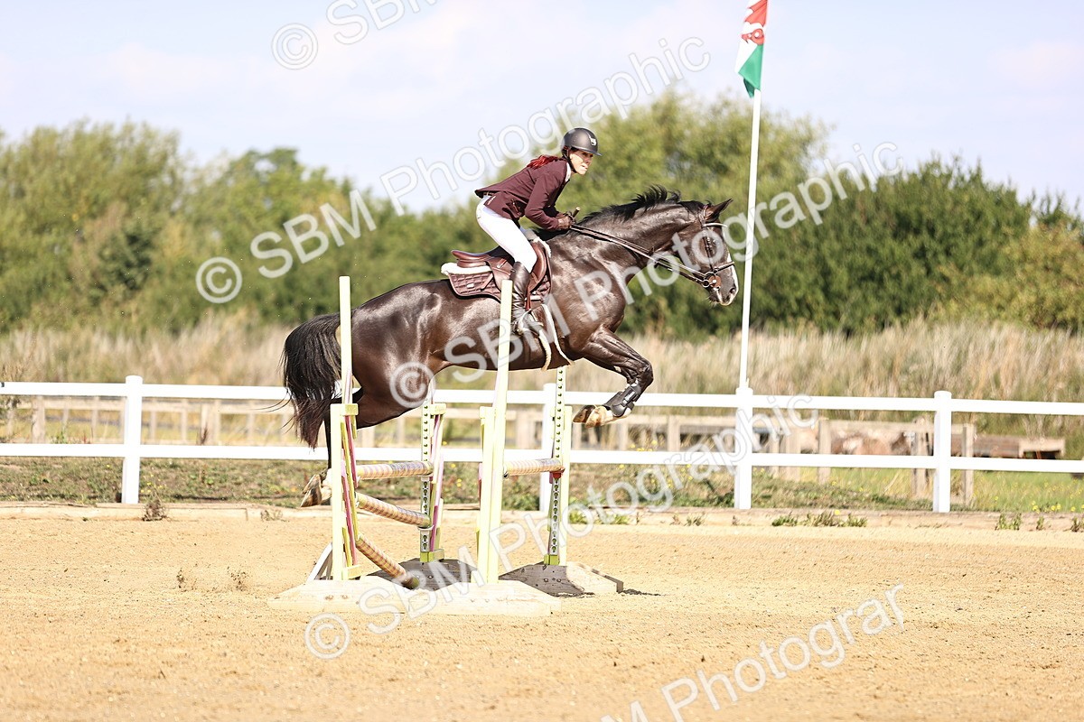 SBM_005741 - Class 9 - Senior British Novice - 90cm