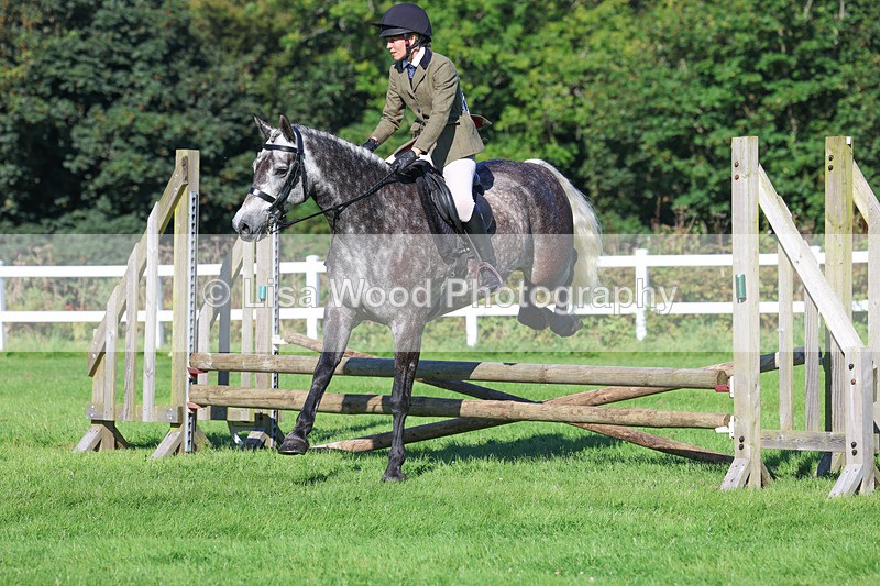 3E7A7764 - Class 2: Open Working Hunter pony