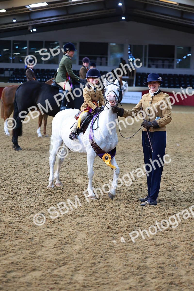 SBM_07744 - Class 101 - HOYS Veteran Qualifier - Ridden Diamond