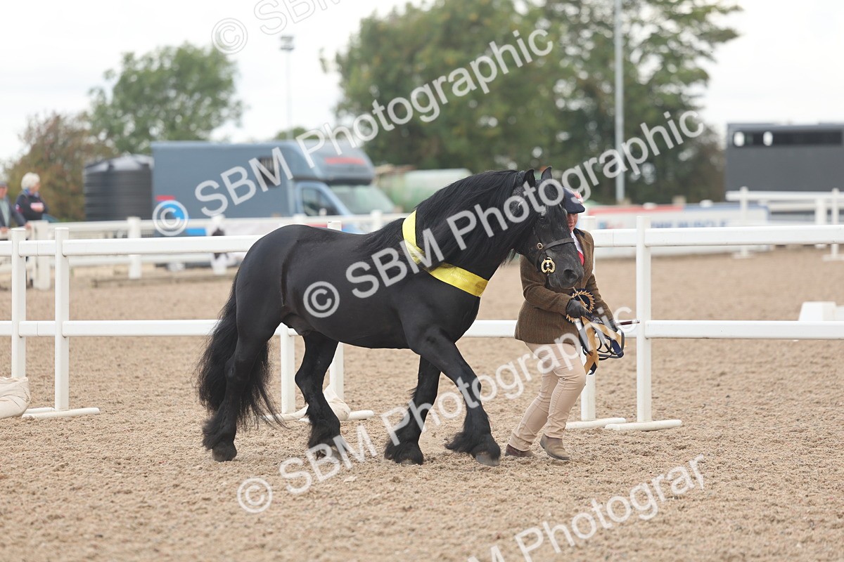 SBM_03308 - Class 16 - IH M&M Wildcard