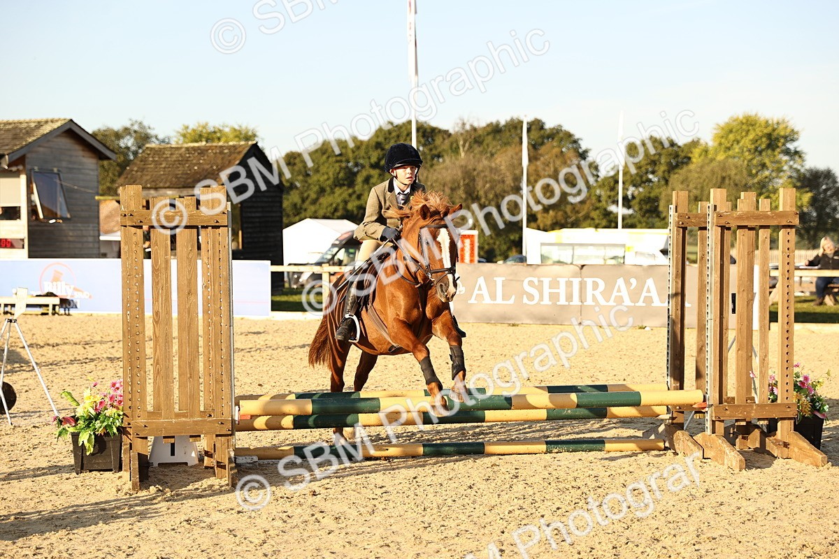 SBM_57216 - J11 - Junior Pony 50cm Championship