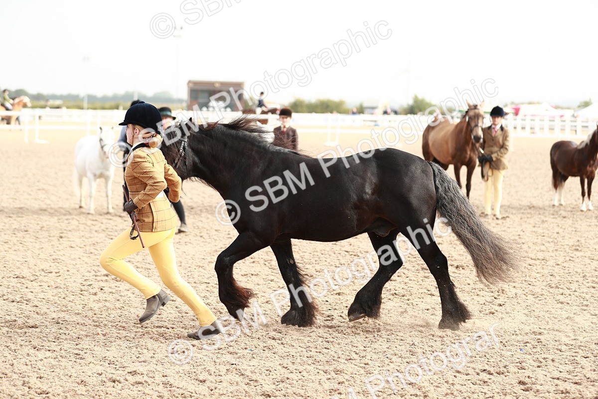 SBM_10547 - Class 204 Young Handler, 11-16 years
