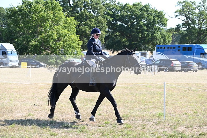 WJ6_7460 - Class 34 Judges Choice