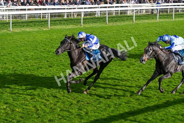 111024-Race 6-Fondo Blanco-2148 - Race 6 4.20pm William Hill EBF Novice Stakes
