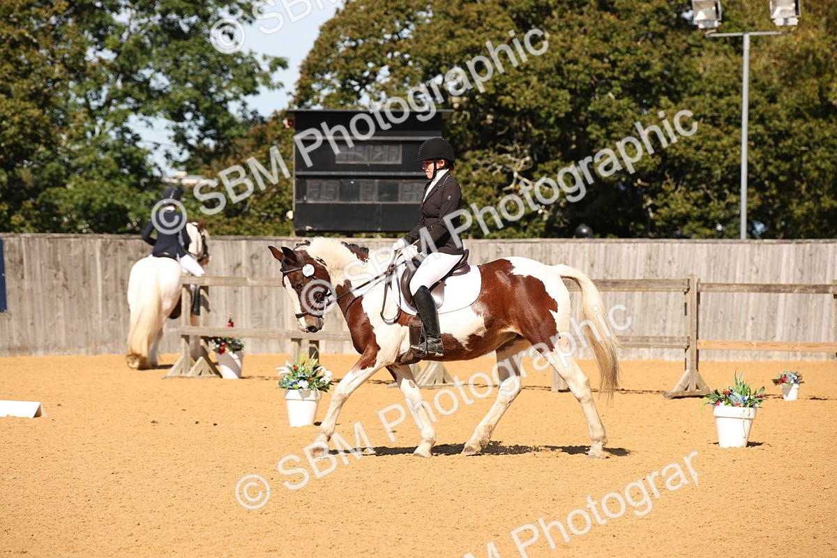 SBM_21633 - D5 - Small Tour Championship - Intro C