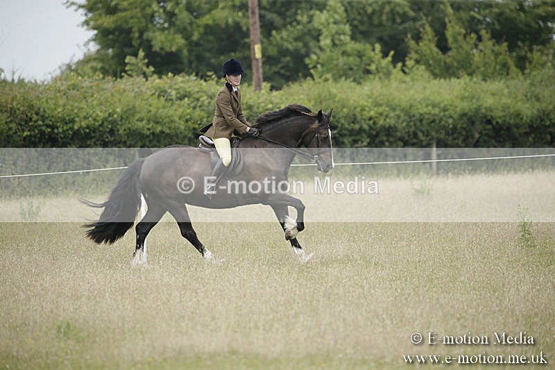 B230619-0486 - Bourne Valley Riding Club Summer Show 23/06/19