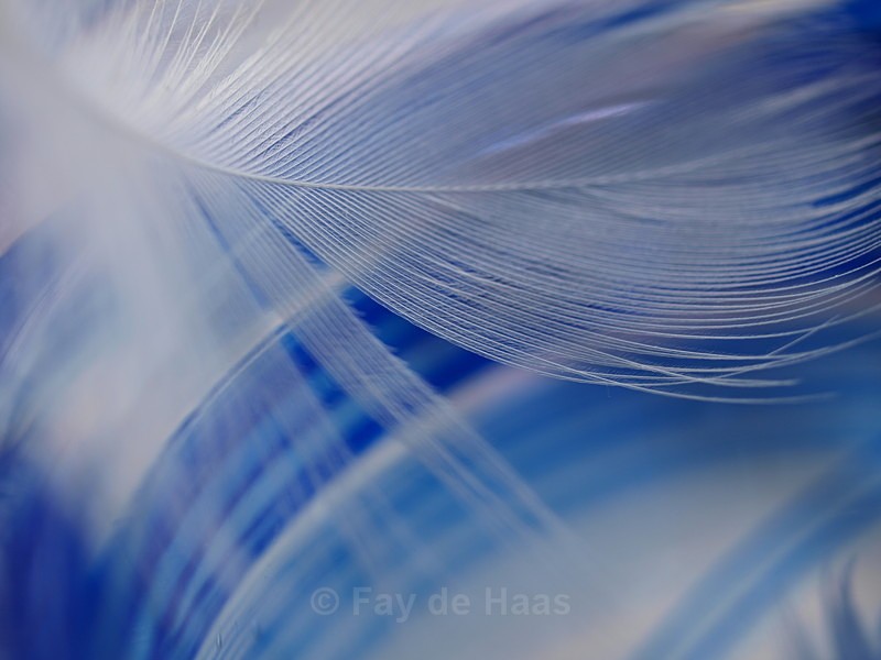  - Ethereal