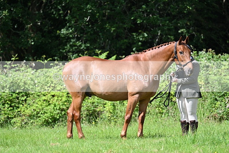 WJ7_1233 - Class 11 Condition & Turnout