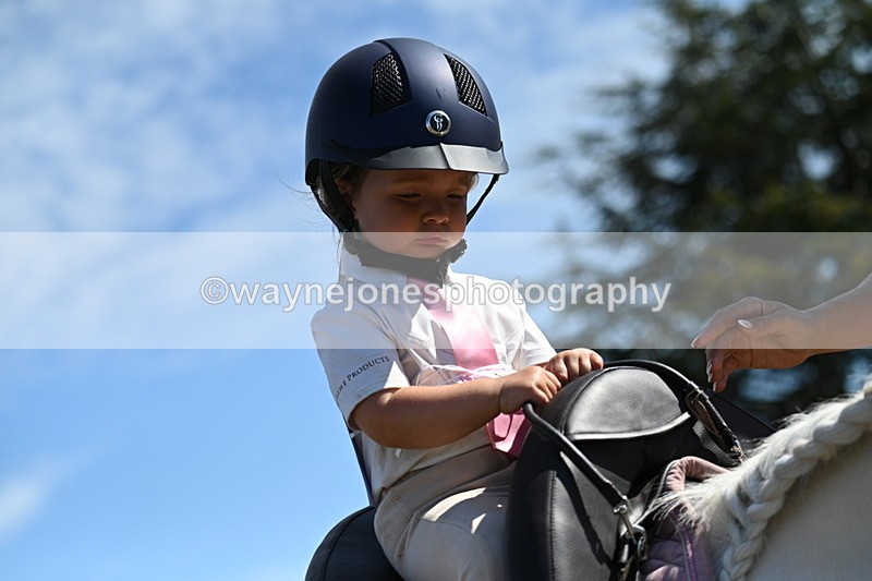 WJ7_1258 - Class 41 Prettiest Mare