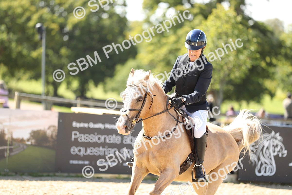 SBM_05598 - J35 - Veteran Rider 60cm