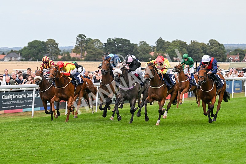 140825-Race 3-Rum Therapy-1031 - Race 3