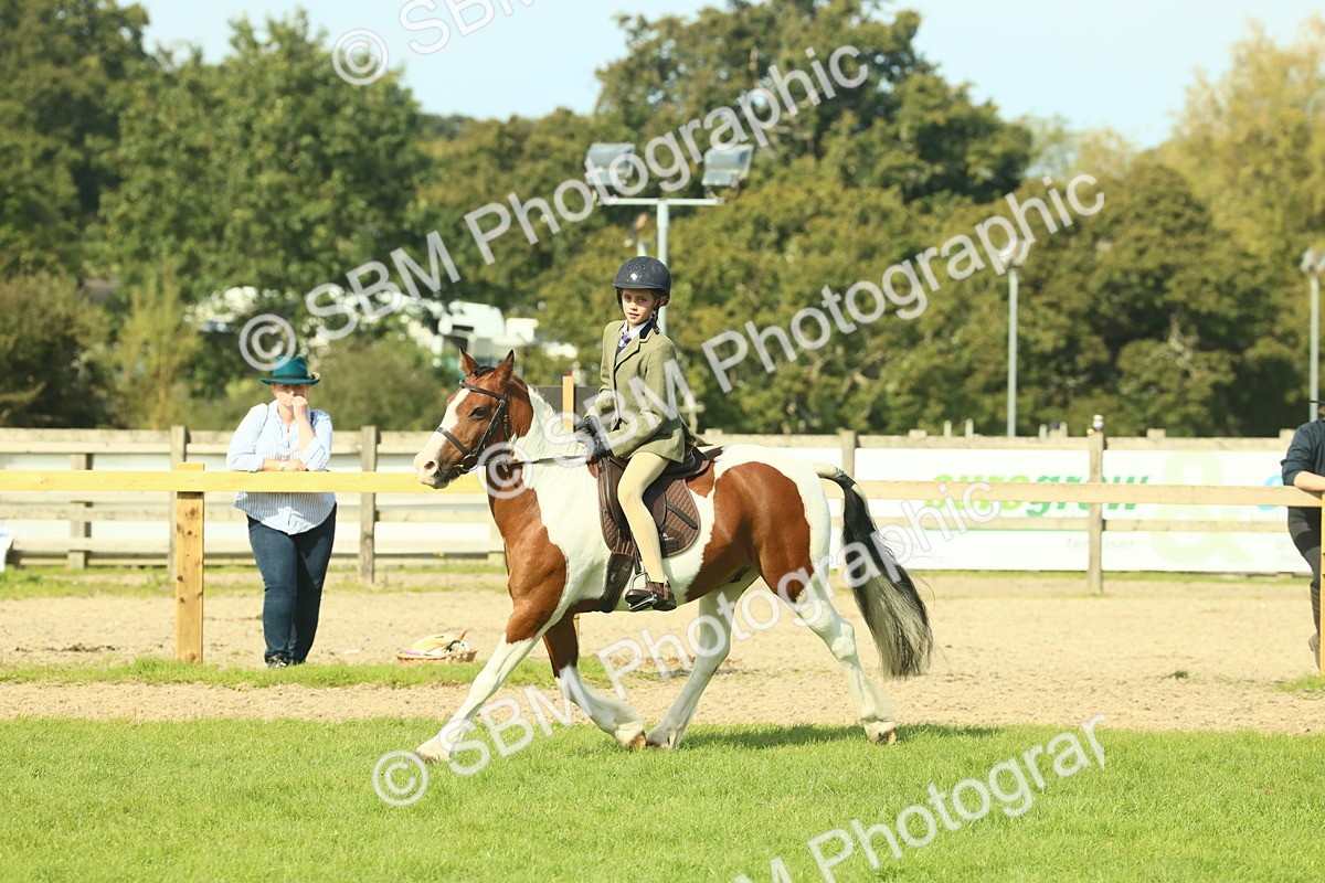 SBM_68922 - S58 - Mini Show Cob Ridden
