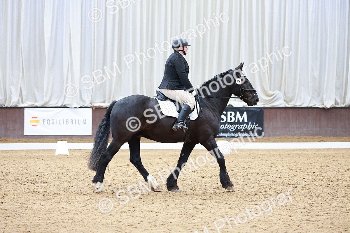 SBM_006719 - Class 3 - Prelim 2