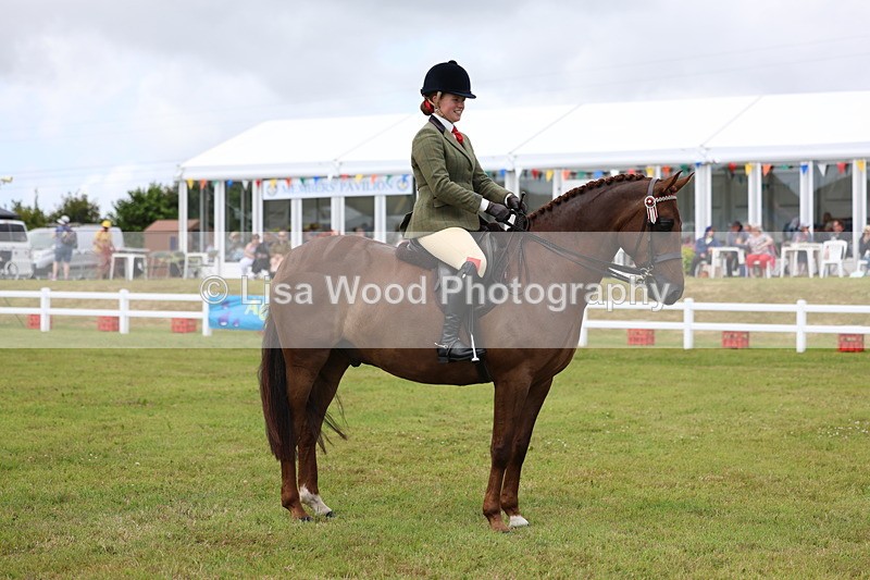 3E7A1268 - Class 8: Open Riding Horse/Hack