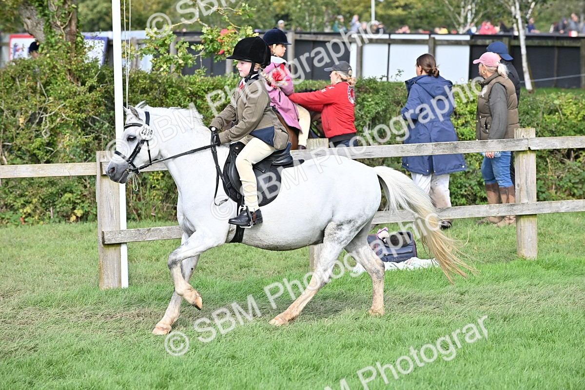SBM_48389 - S21 - Novice & Newcomers First Ridden