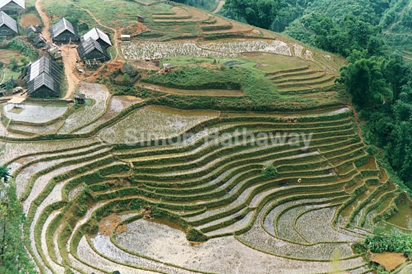  - Vietnam