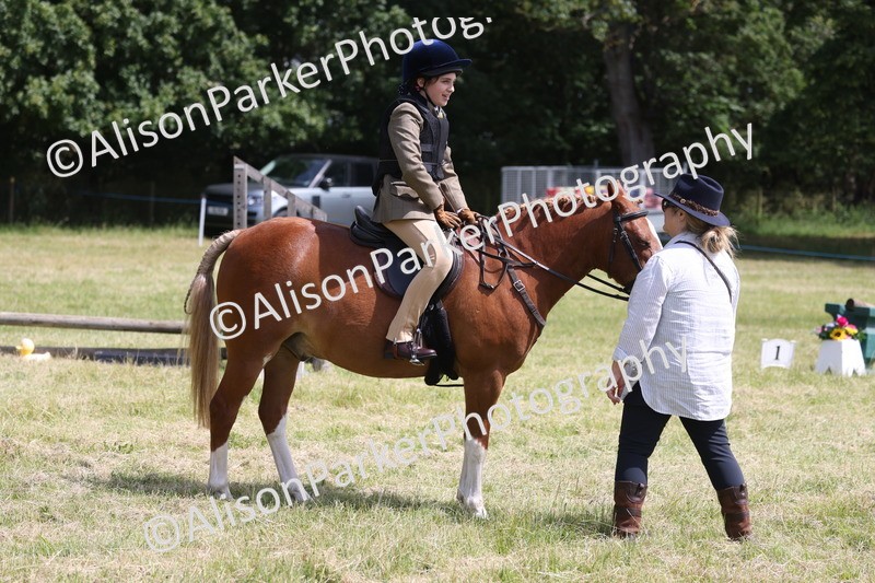 20260614-1938 - Class 21 - Novice Working Hunter Pony