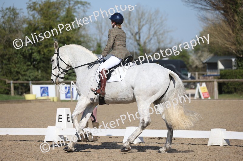 20250405-0241 - Class 11 - My Quest Novice 3