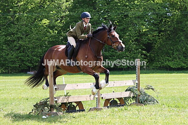 IMG_4233 - Working Hunter