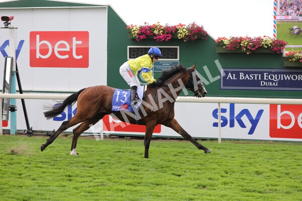 yr20082022r2-34 - Race 2 2.35pm Sky Bet Melrose Stakes