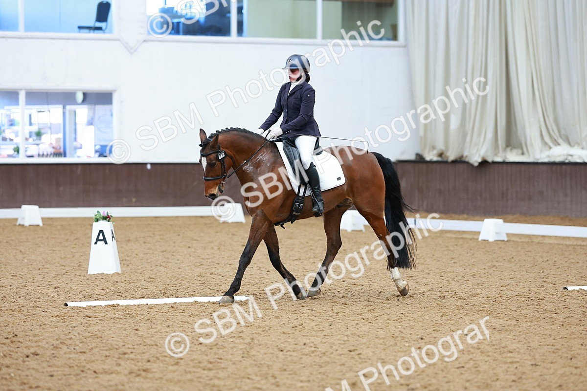 SBM_003604 - Class 15-16-18 - Novice 3-Elementary 1-PYO